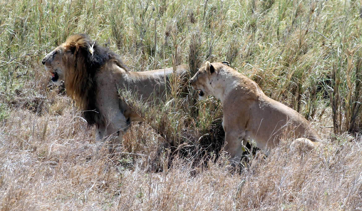 Lake Nakuru National Park