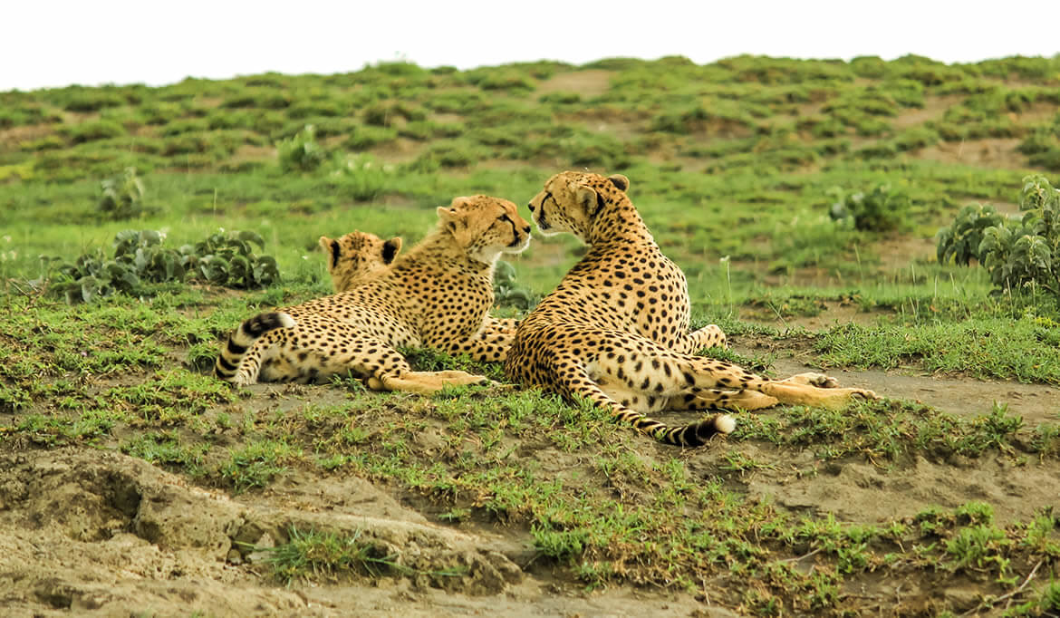 Serengeti National Park