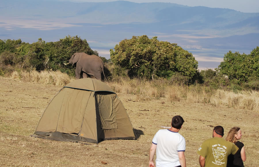 Maasai Mara Camping