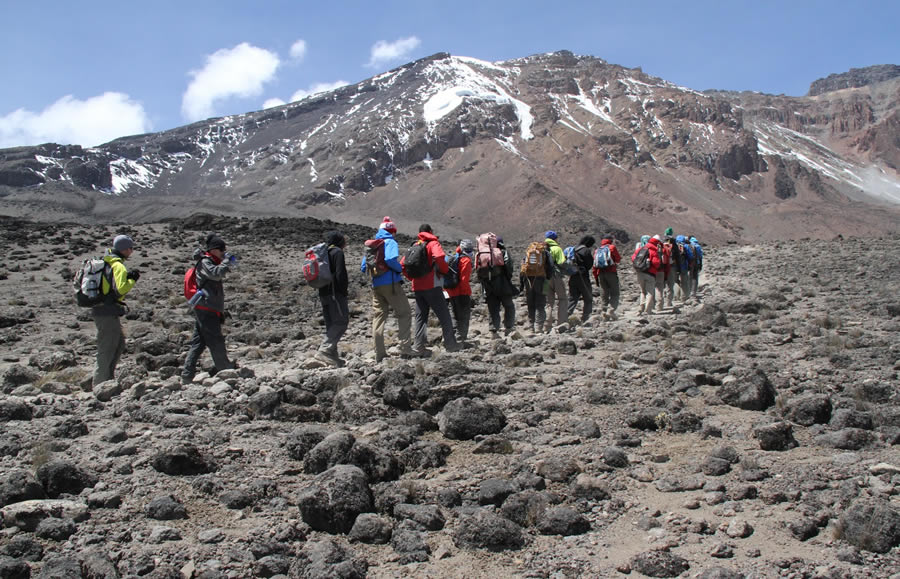 Kilimanjaro Marangu 